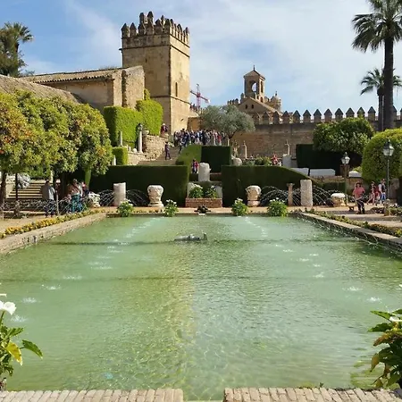 Grupo Limcotel Perla 1